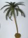 Palmera Ho Aneste (montada)